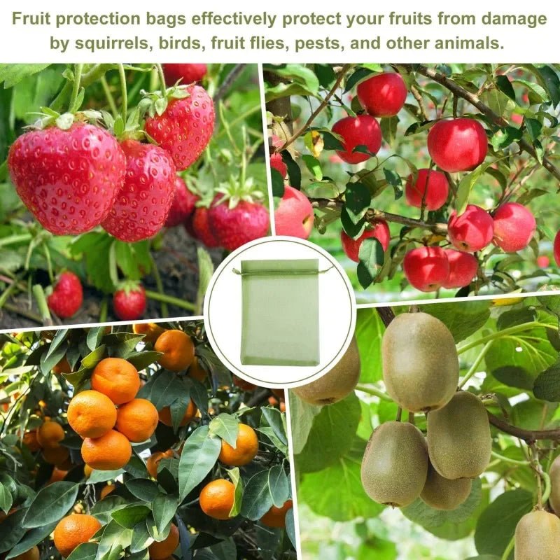 Filets de Protection Fruits & Légumes Anti-Insectes & Oiseaux – Lot 1 à 100 pcs | Jardin