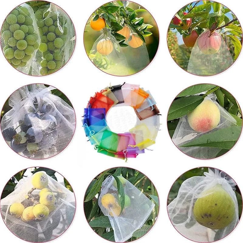 Filets de Protection Fruits & Légumes Anti-Insectes & Oiseaux – Lot 1 à 100 pcs | Jardin