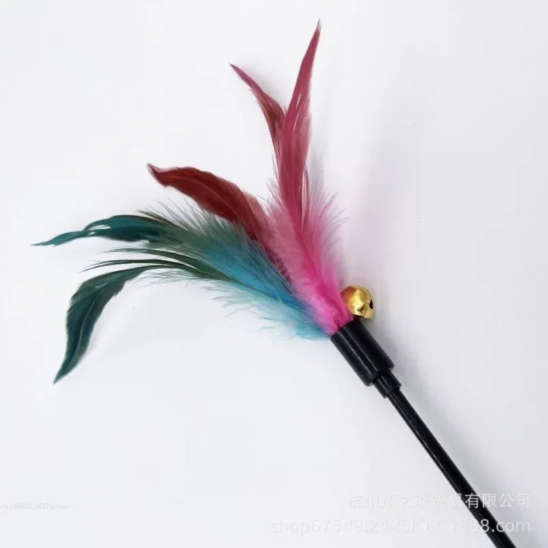 Canne à Pêche Plumes & Clochette pour Chat & Chaton – Jouet Interactif 50cm