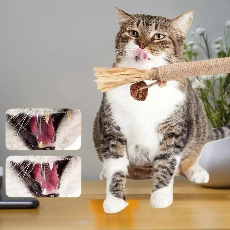 Bâtons Dentaires en Bois Naturel pour Chat – Nettoyage Dents & Jouet À Mâcher | Lot 1 ou 2 pcs