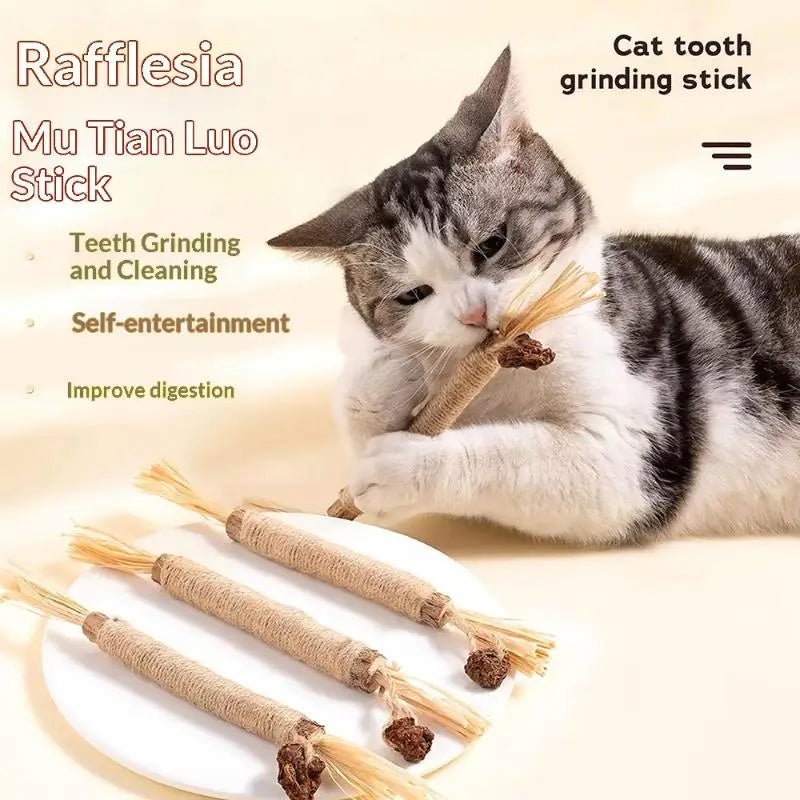 Bâtons Dentaires en Bois Naturel pour Chat – Nettoyage Dents & Jouet À Mâcher | Lot 1 ou 2 pcs