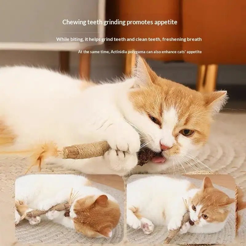 Bâtons Dentaires en Bois Naturel pour Chat – Nettoyage Dents & Jouet À Mâcher | Lot 1 ou 2 pcs