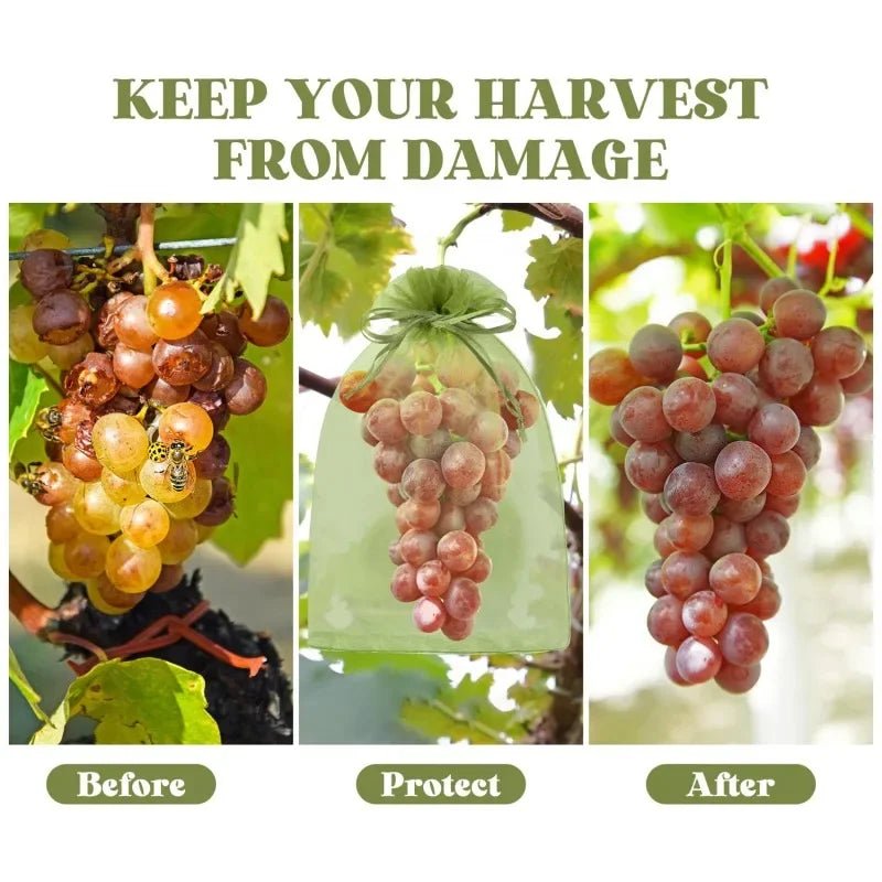 Filets de Protection Fruits & Légumes Anti-Insectes & Oiseaux – Lot 1 à 100 pcs | Jardin