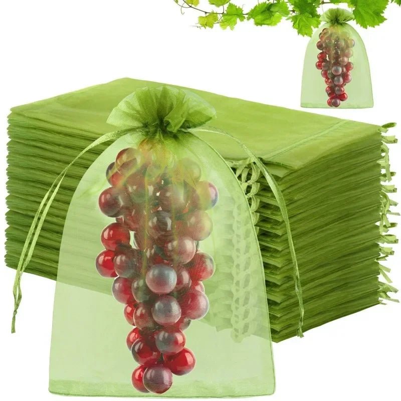 Filets de Protection Fruits & Légumes Anti-Insectes & Oiseaux – Lot 1 à 100 pcs | Jardin