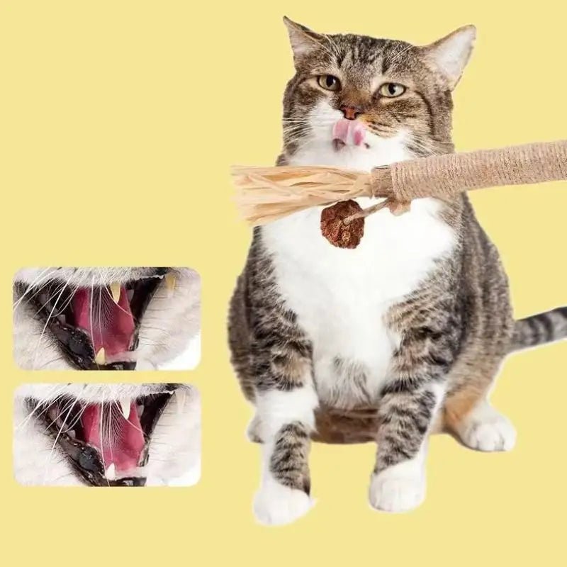 Bâtons Dentaires en Bois Naturel pour Chat – Nettoyage Dents & Jouet À Mâcher | Lot 1 ou 2 pcs