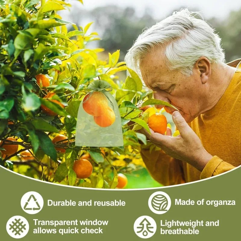 Filets de Protection Fruits & Légumes Anti-Insectes & Oiseaux – Lot 1 à 100 pcs | Jardin