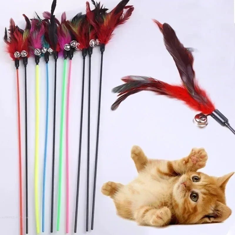 Canne à Pêche Plumes & Clochette pour Chat & Chaton – Jouet Interactif 50cm