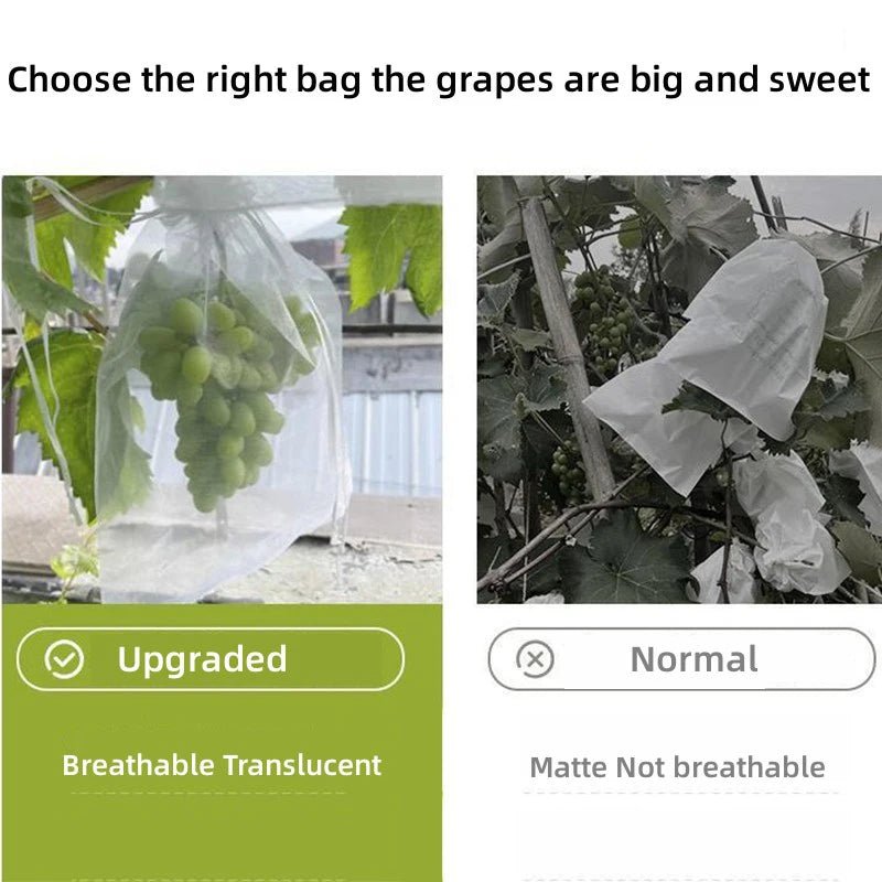 Filets de Protection Fruits & Légumes Anti-Insectes & Oiseaux – Lot 1 à 100 pcs | Jardin
