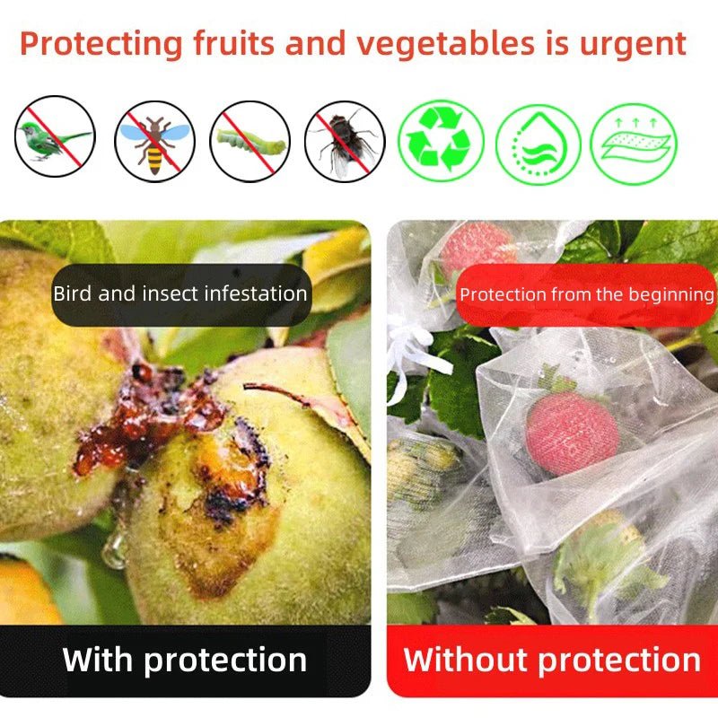 Filets de Protection Fruits & Légumes Anti-Insectes & Oiseaux – Lot 1 à 100 pcs | Jardin