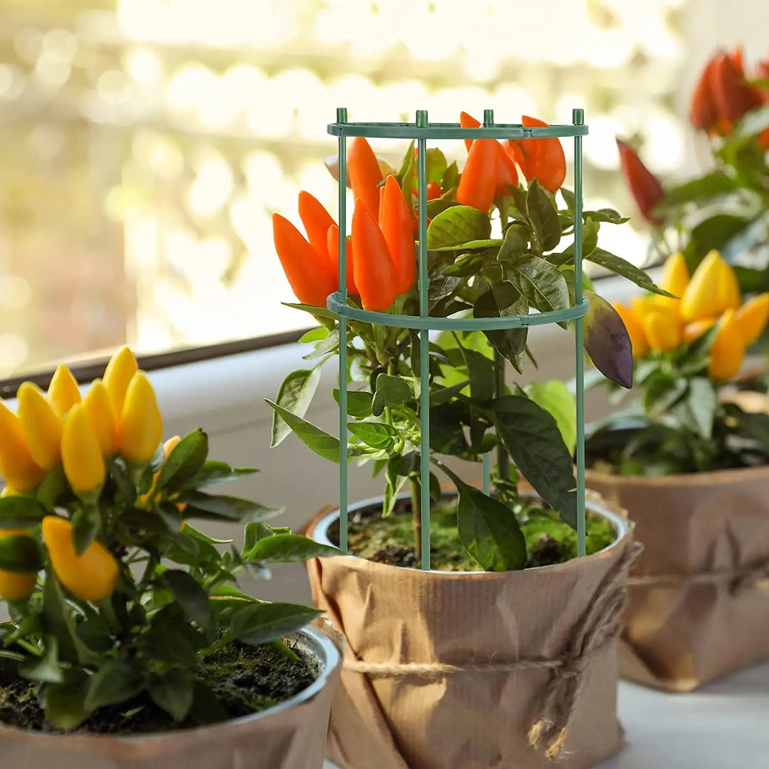 1/2/4/6/8/16Pcs Plastic Support Pile Stand Plant Support Pile for Flowers Greenhouses Arrangement Fixing Rod Holder Garden Tools