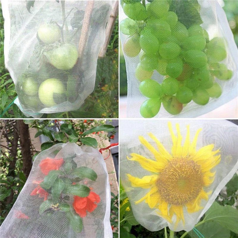 Filets de Protection Fruits & Légumes Anti-Insectes & Oiseaux – Lot 1 à 100 pcs | Jardin