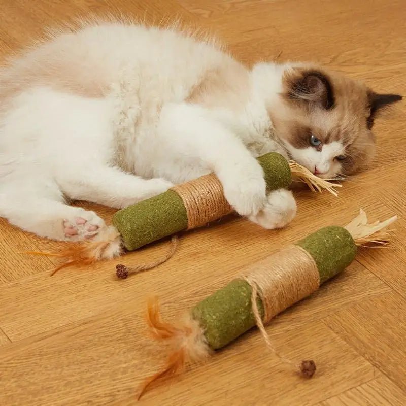 Bâtons Dentaires en Bois Naturel pour Chat – Nettoyage Dents & Jouet À Mâcher | Lot 1 ou 2 pcs
