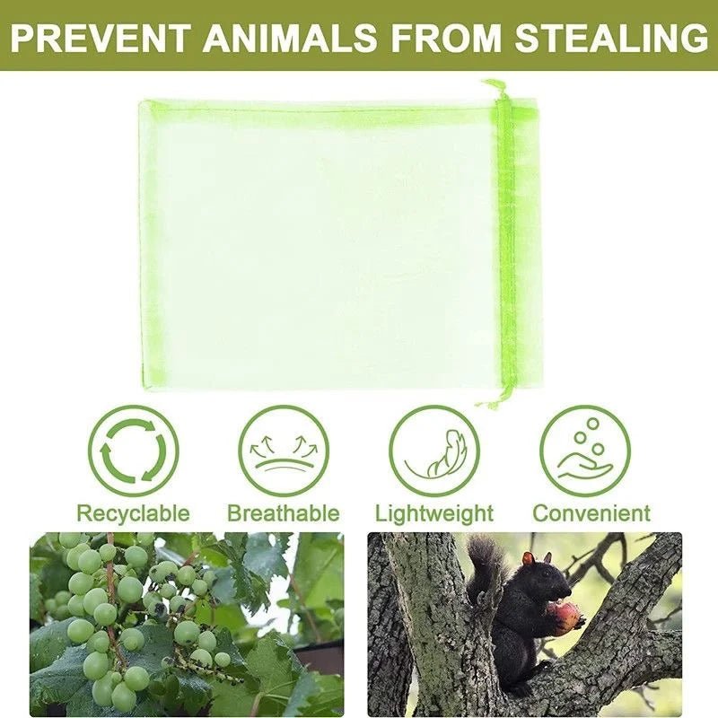 Filets de Protection Fruits & Légumes Anti-Insectes & Oiseaux – Lot 1 à 100 pcs | Jardin