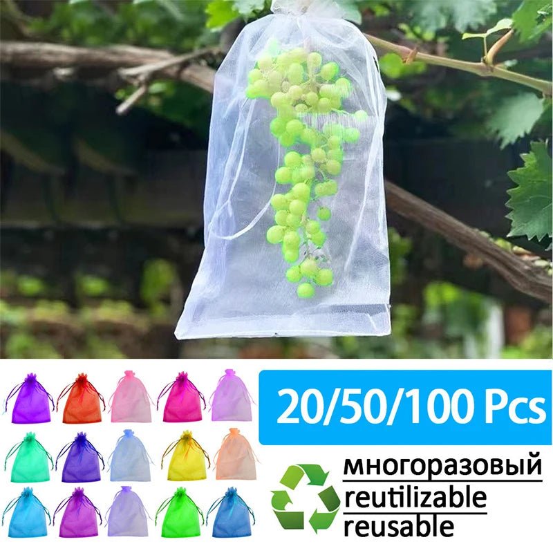 Filets de Protection Fruits & Légumes Anti-Insectes & Oiseaux – Lot 1 à 100 pcs | Jardin