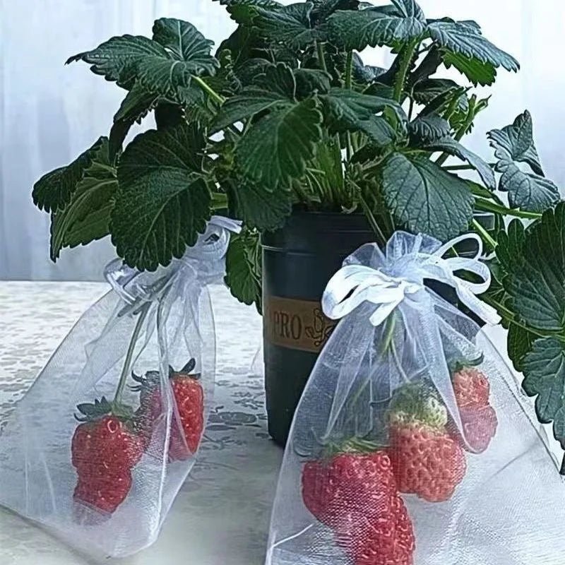 Filets de Protection Fruits & Légumes Anti-Insectes & Oiseaux – Lot 1 à 100 pcs | Jardin