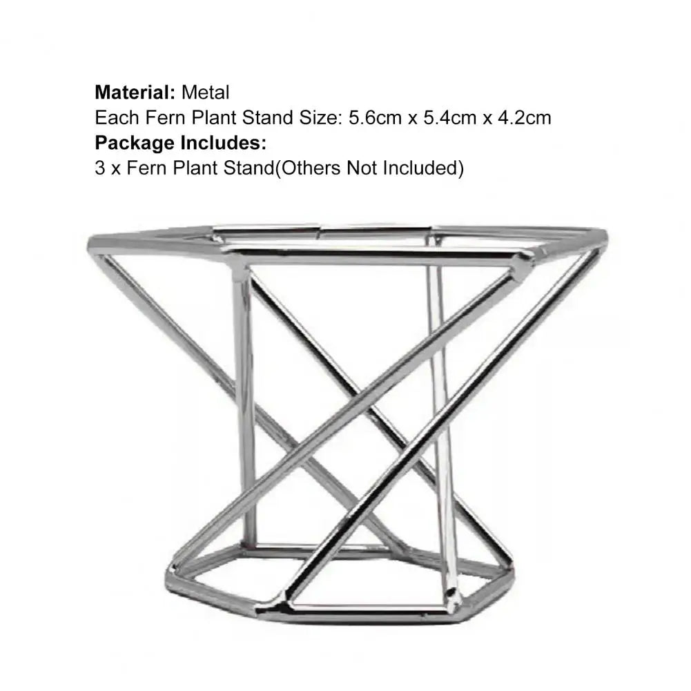 3Pcs Air Plant Stand Holder  Useful Exquisite Workmanship Tillandsia Display Stand  Anti-corrosion Tillandsia Display Stand
