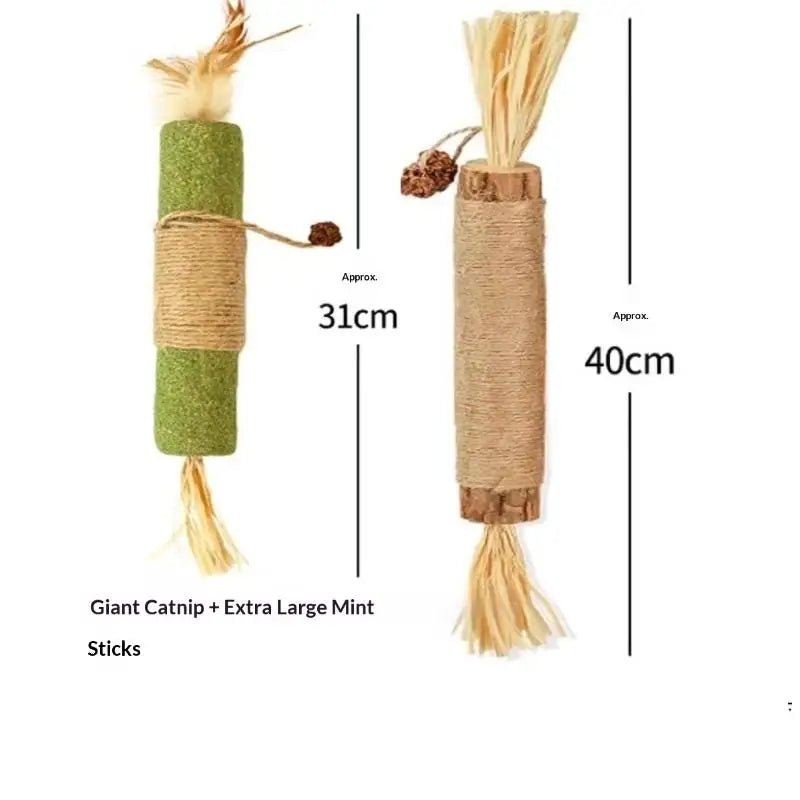 Bâtons Dentaires en Bois Naturel pour Chat – Nettoyage Dents & Jouet À Mâcher | Lot 1 ou 2 pcs