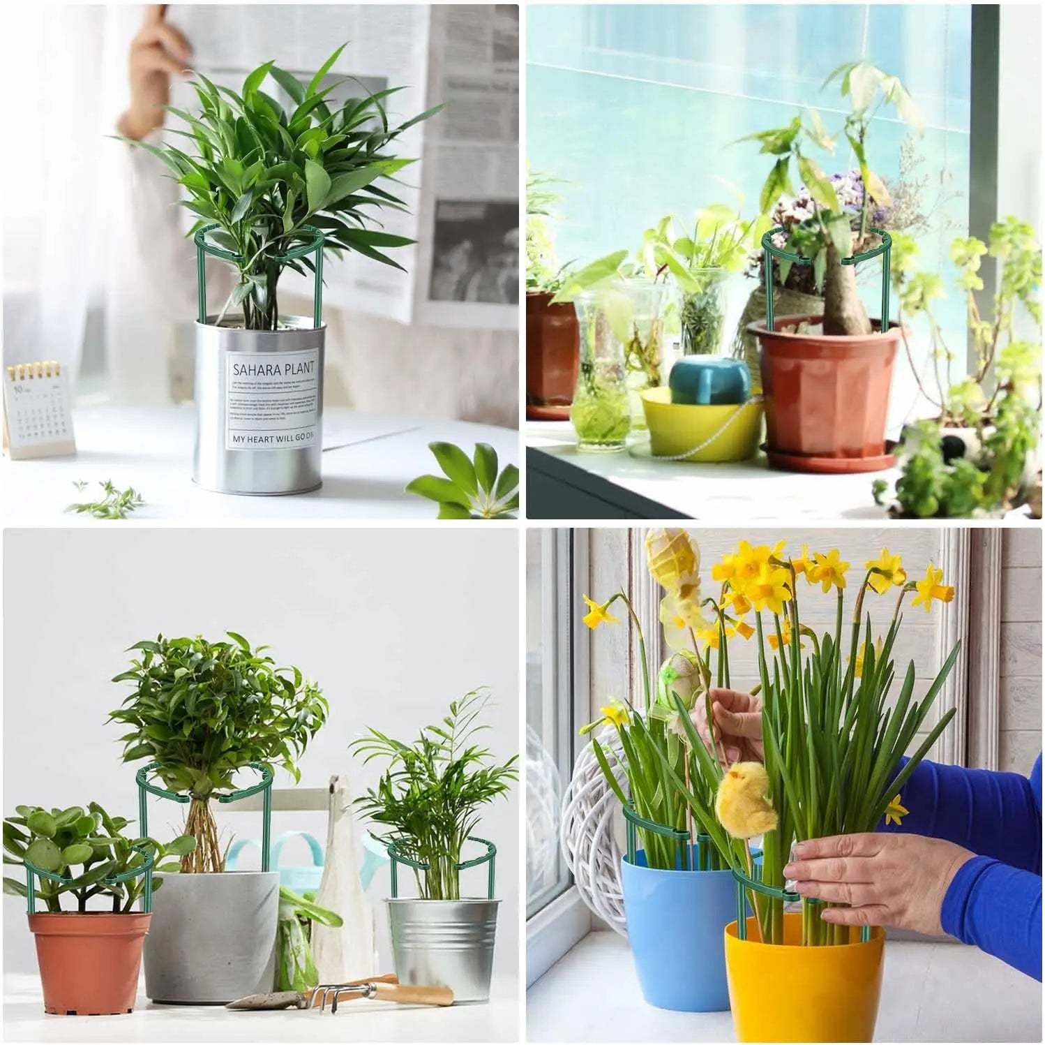 1/2/4/6/8/16Pcs Plastic Support Stake Plant Support Stake for Flowers Greenhouses Arrangement Fixing Rod Holder Garden Tools