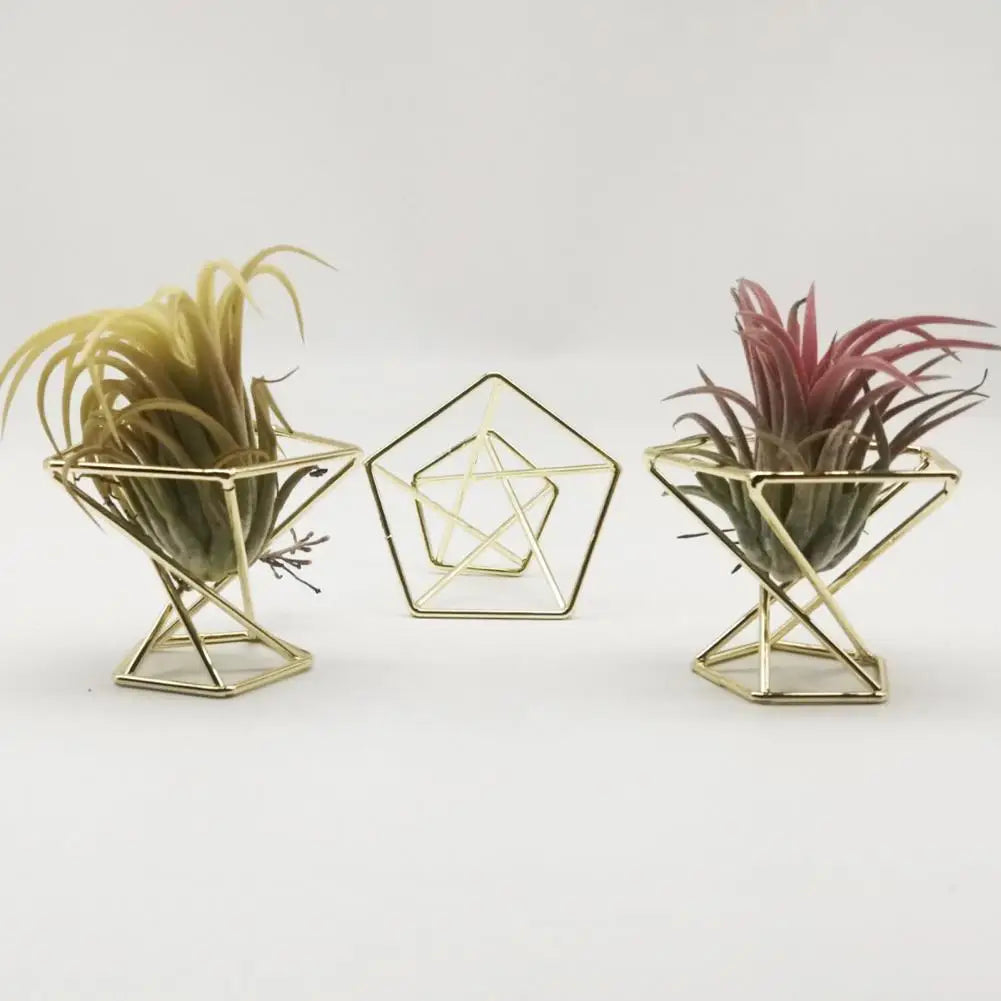 3Pcs Air Plant Stand Holder  Useful Exquisite Workmanship Tillandsia Display Stand  Anti-corrosion Tillandsia Display Stand
