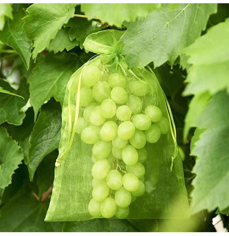 20-100pcs Strawberry Grapes Fruit Grow Bags Netting Mesh Vegetable Plant Protection Bags For Pest Control Anti-Bird Garden Tools