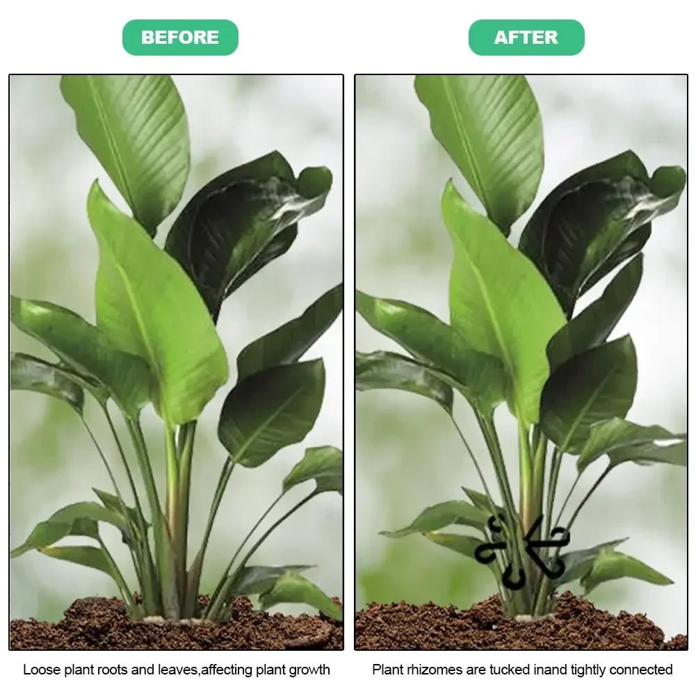 3/4Pcs Reusable Plant Stem Folding Frame Garden Tools No Stake Trellis Plant Stem Support Support Branches Stem Organizer