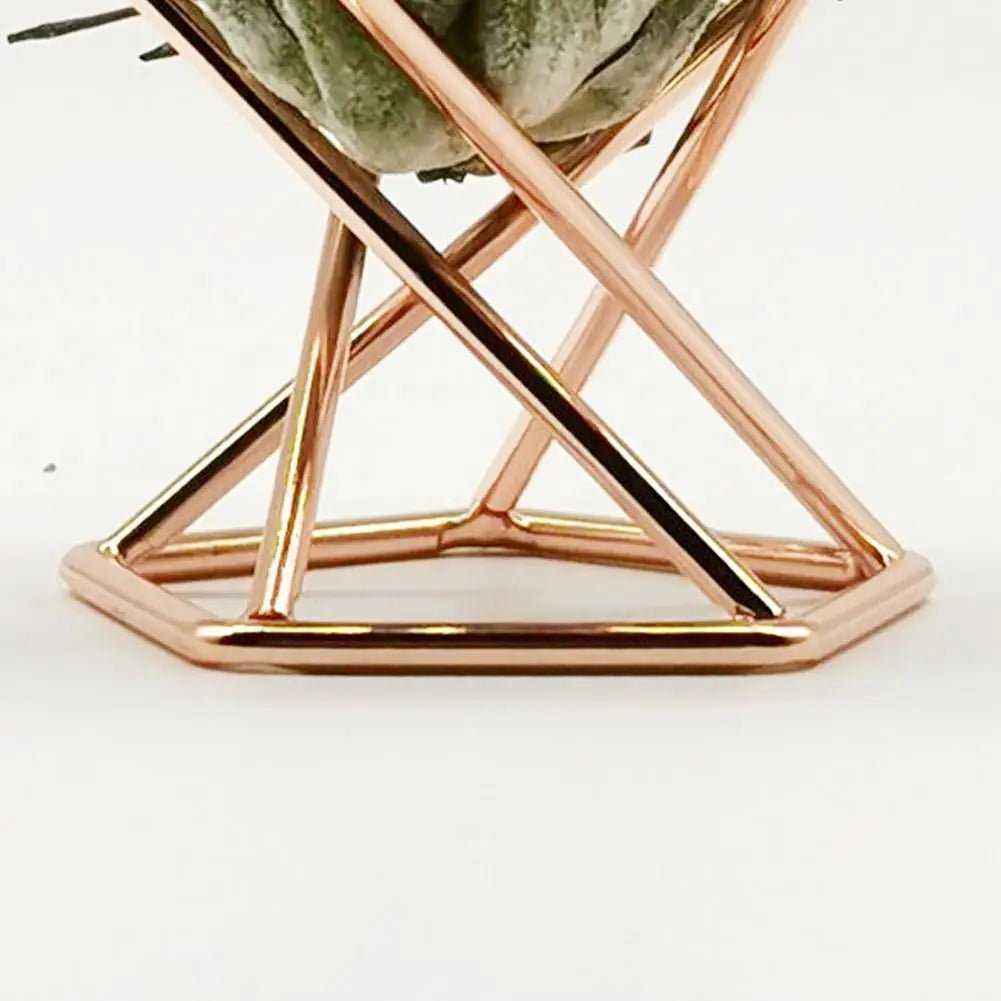 3Pcs Air Plant Stand Holder  Useful Exquisite Workmanship Tillandsia Display Stand  Anti-corrosion Tillandsia Display Stand