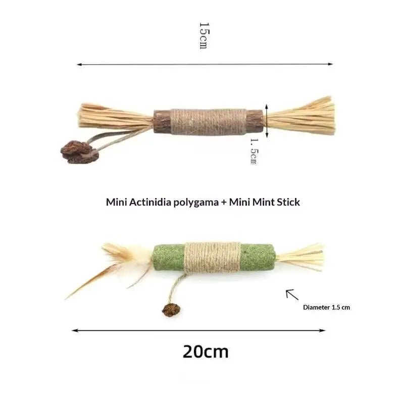 Bâtons Dentaires en Bois Naturel pour Chat – Nettoyage Dents & Jouet À Mâcher | Lot 1 ou 2 pcs