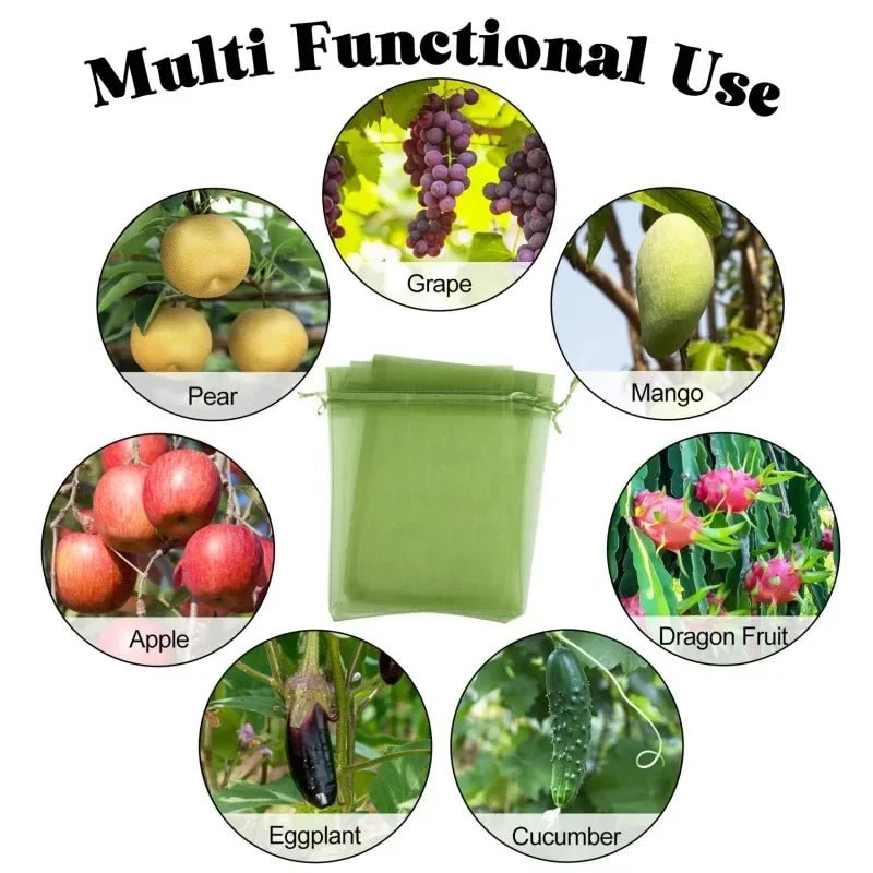 Filets de Protection Fruits & Légumes Anti-Insectes & Oiseaux – Lot 1 à 100 pcs | Jardin