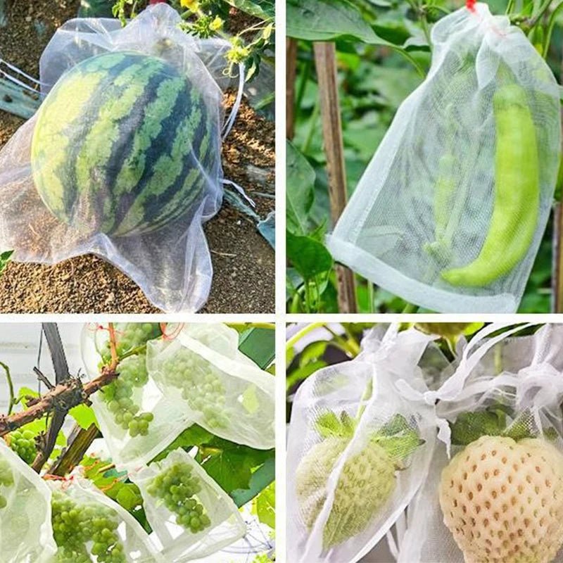 Filets de Protection Fruits & Légumes Anti-Insectes & Oiseaux – Lot 1 à 100 pcs | Jardin