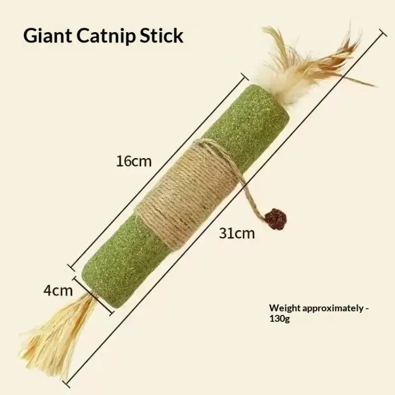 Bâtons Dentaires en Bois Naturel pour Chat – Nettoyage Dents & Jouet À Mâcher | Lot 1 ou 2 pcs