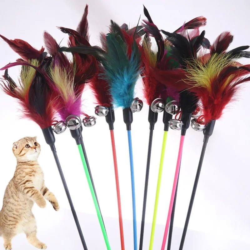 Canne à Pêche Plumes & Clochette pour Chat & Chaton – Jouet Interactif 50cm