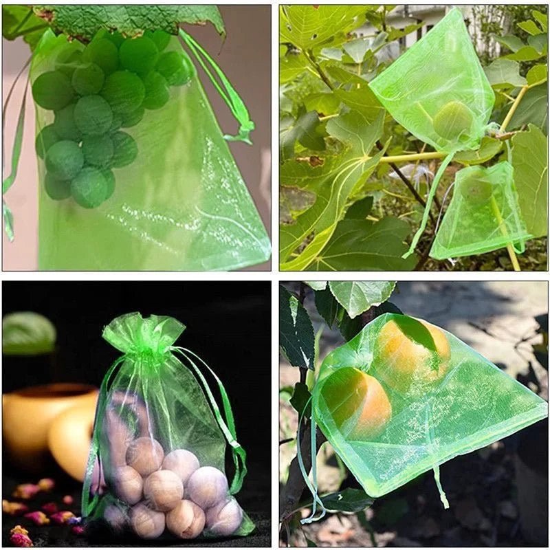 Filets de Protection Fruits & Légumes Anti-Insectes & Oiseaux – Lot 1 à 100 pcs | Jardin