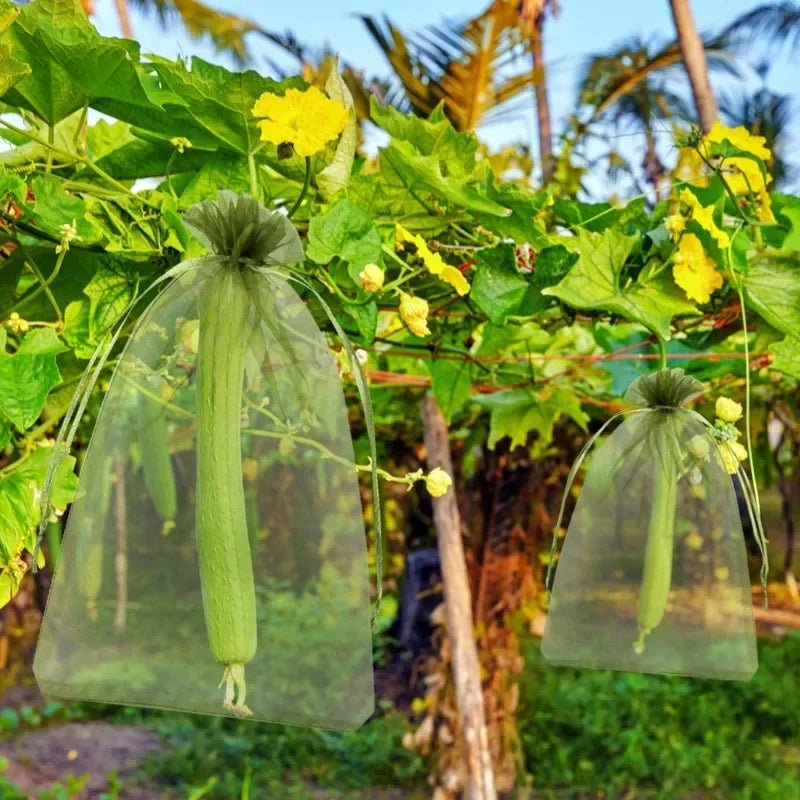 Filets de Protection Fruits & Légumes Anti-Insectes & Oiseaux – Lot 1 à 100 pcs | Jardin