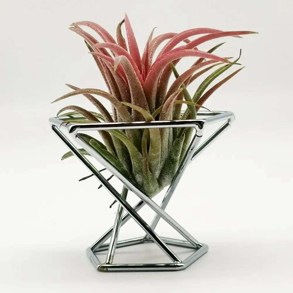 3Pcs Air Plant Stand Holder  Useful Exquisite Workmanship Tillandsia Display Stand  Anti-corrosion Tillandsia Display Stand