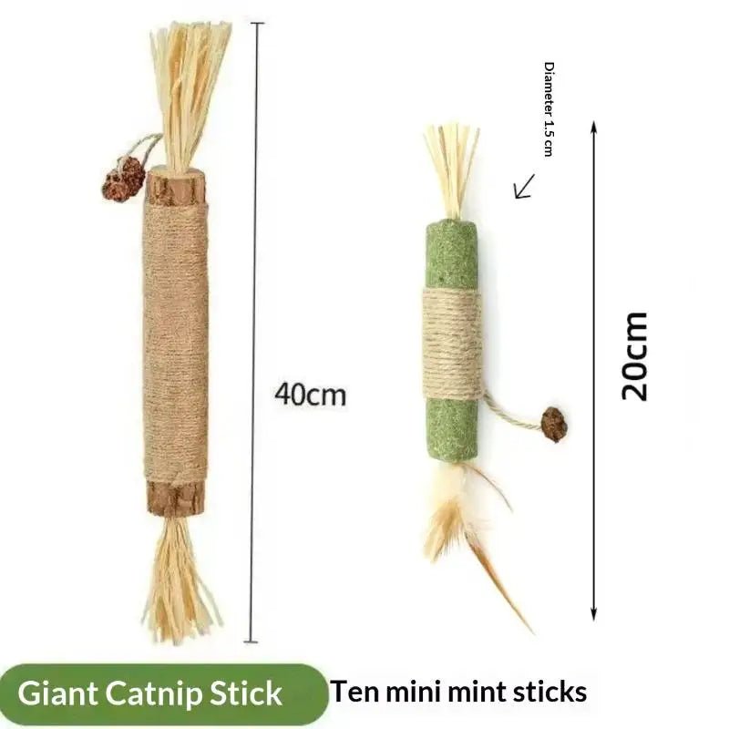 Bâtons Dentaires en Bois Naturel pour Chat – Nettoyage Dents & Jouet À Mâcher | Lot 1 ou 2 pcs