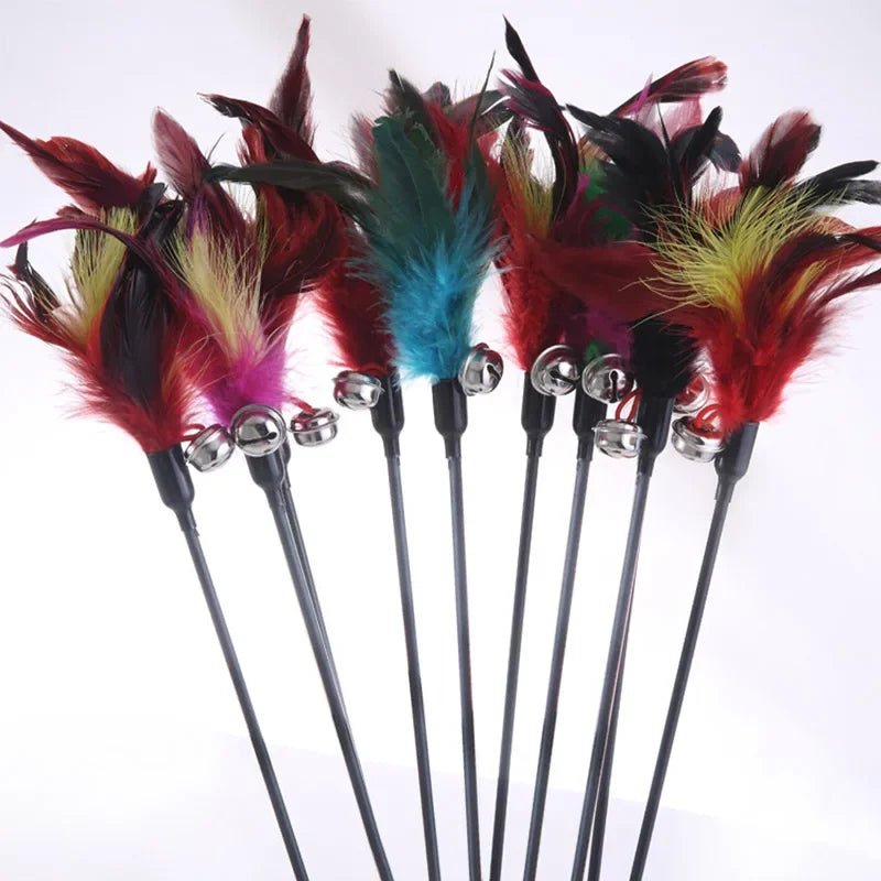 Canne à Pêche Plumes & Clochette pour Chat & Chaton – Jouet Interactif 50cm