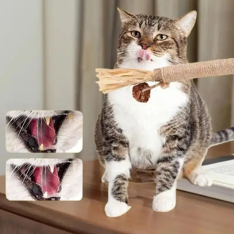 Bâtons Dentaires en Bois Naturel pour Chat – Nettoyage Dents & Jouet À Mâcher | Lot 1 ou 2 pcs