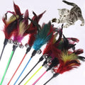 Canne à Pêche Plumes & Clochette pour Chat & Chaton – Jouet Interactif 50cm