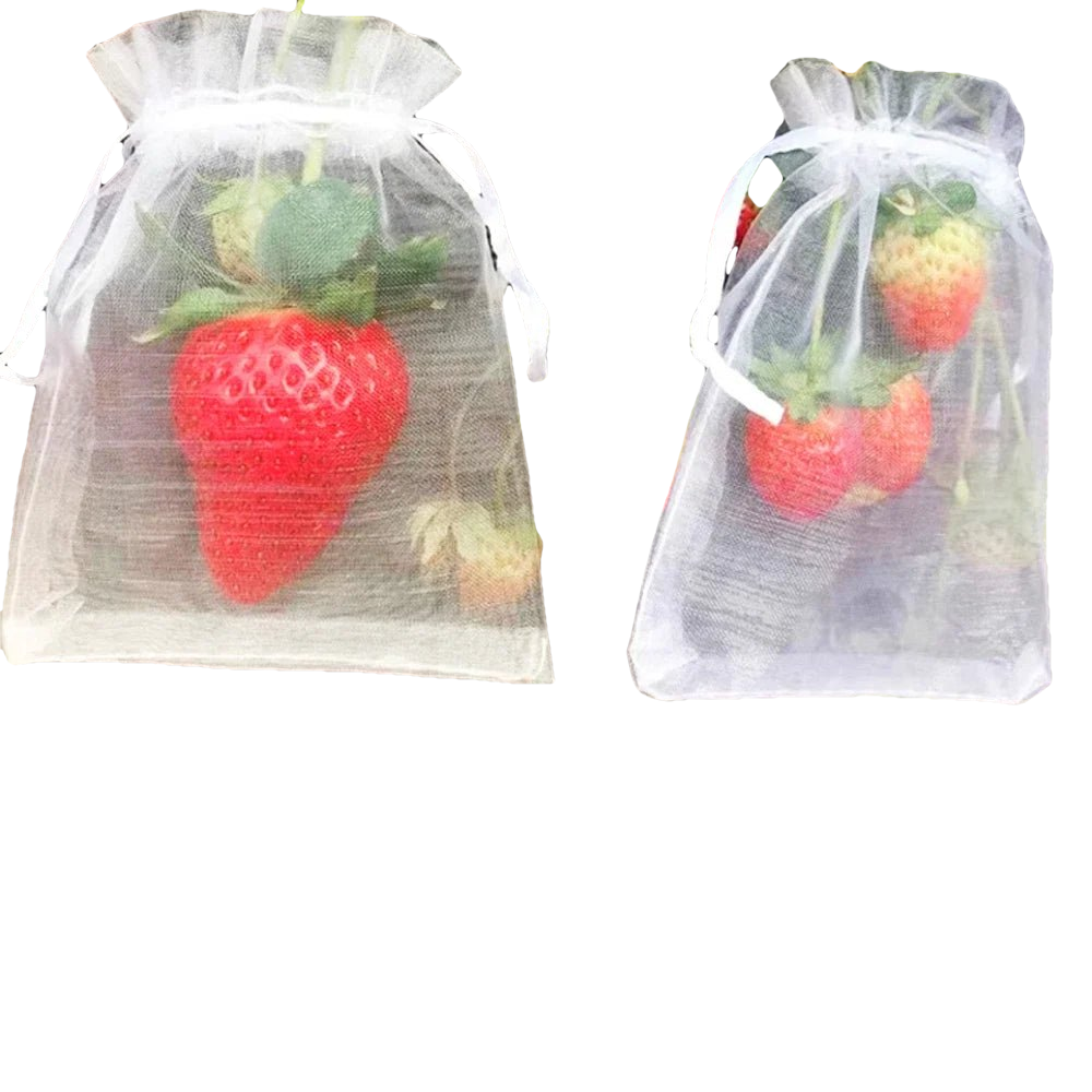 10 à 100 Sacs de Protection Plantes – Filets de Culture pour Fraises, Raisins & Légumes, Anti-Insectes et Oiseaux