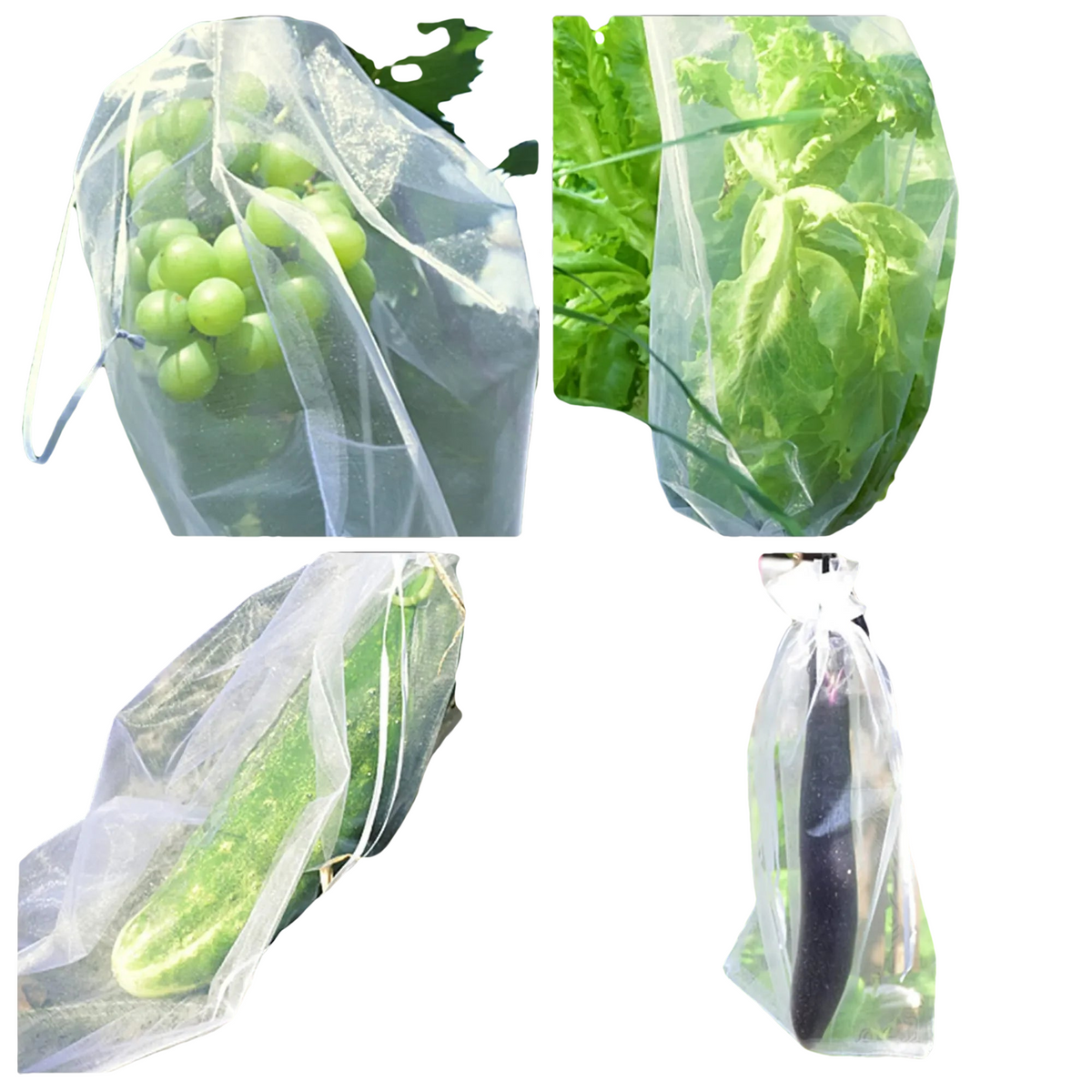 10 à 100 Sacs de Protection Plantes – Filets de Culture pour Fraises, Raisins & Légumes, Anti-Insectes et Oiseaux