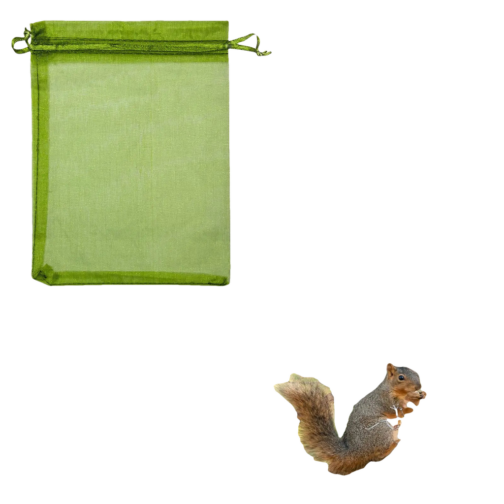 10 à 100 Sacs de Protection Plantes – Filets de Culture pour Fraises, Raisins & Légumes, Anti-Insectes et Oiseaux