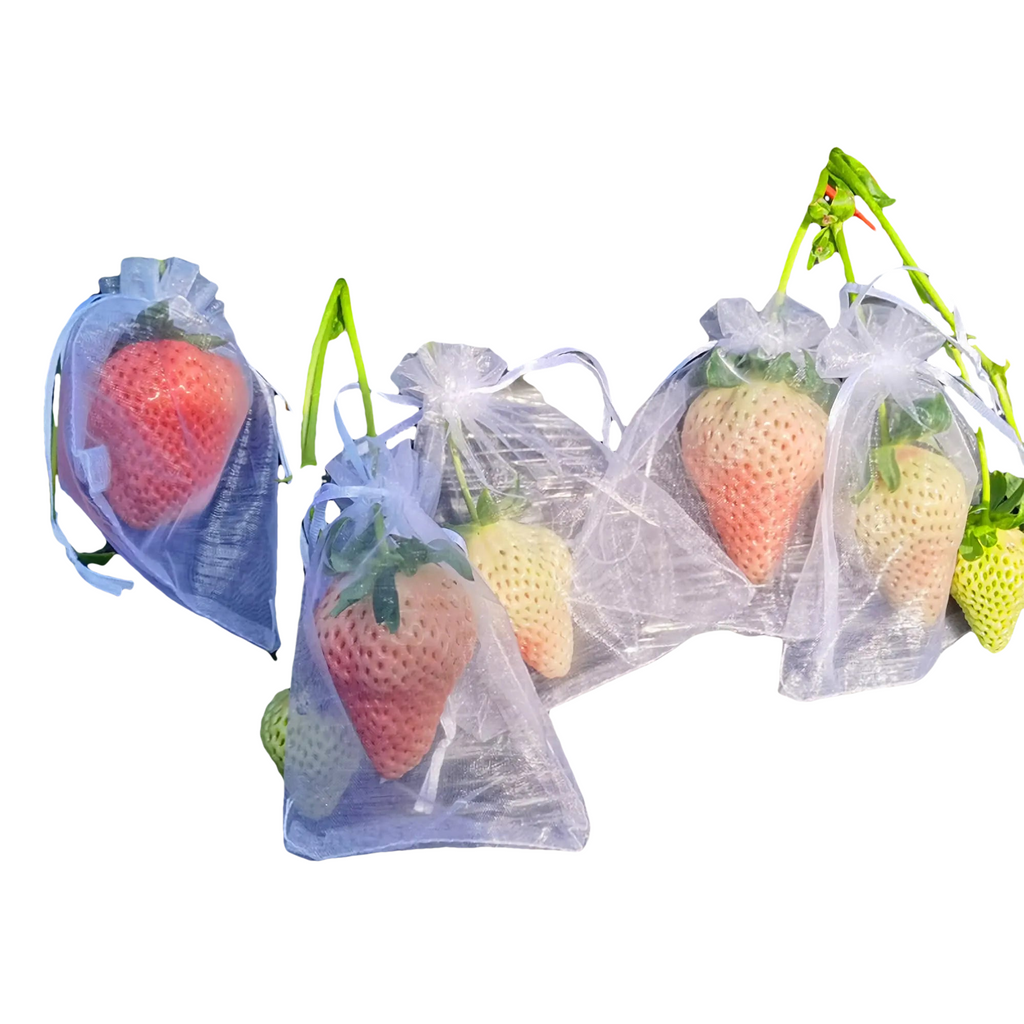 10 à 100 Sacs de Protection Plantes – Filets de Culture pour Fraises, Raisins & Légumes, Anti-Insectes et Oiseaux