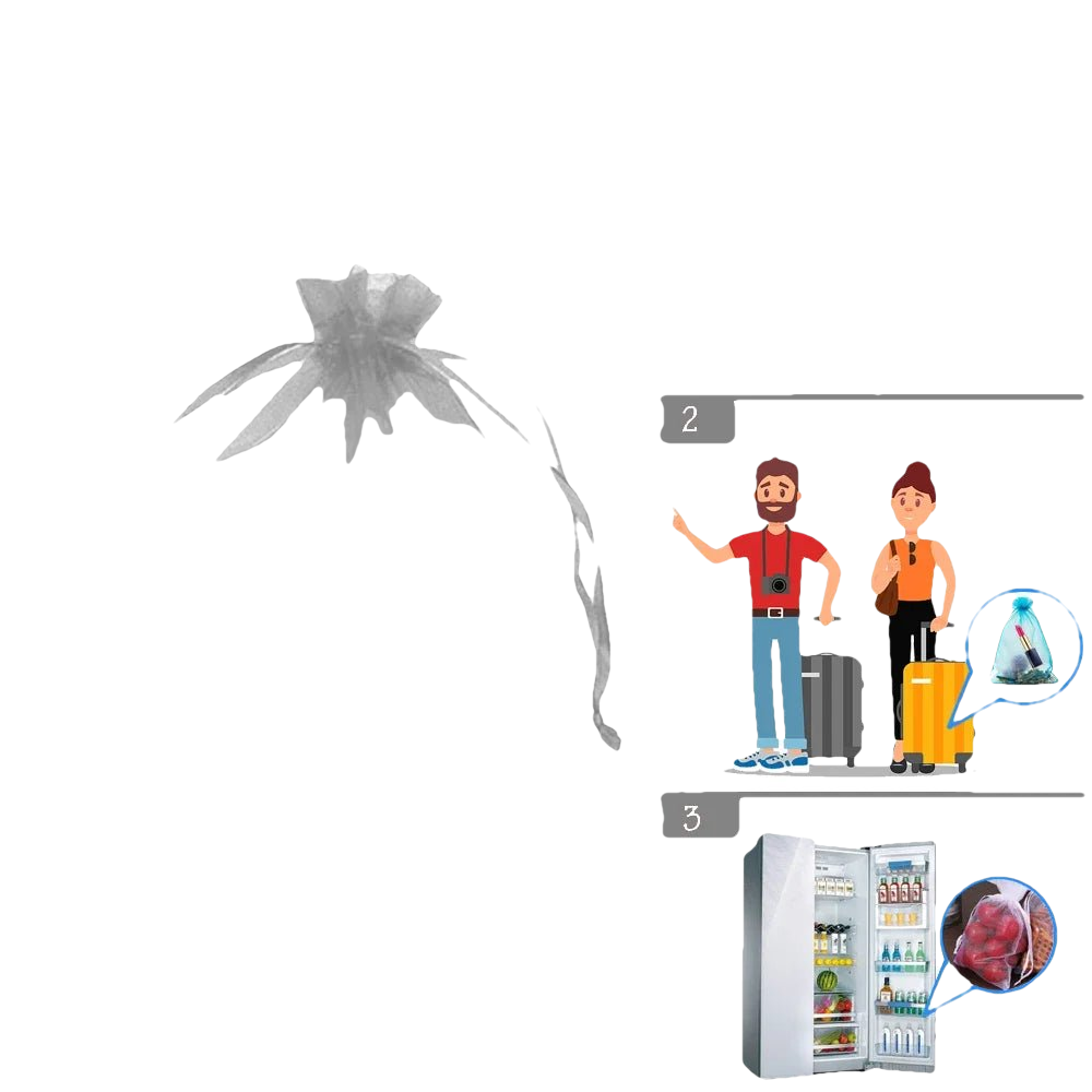 10 à 100 Sacs de Protection Plantes – Filets de Culture pour Fraises, Raisins & Légumes, Anti-Insectes et Oiseaux